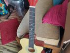 Brand New 38 Acoustic Guitar