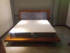 Brand New 60 x75 bed- Li 17