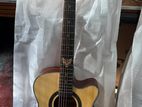 Brand new acoustic guitar