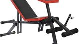 Brand New Adjustable Dumbbell Bench /Weight -A313