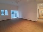 Brand New Apartment for Rent in Colombo 09