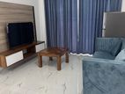 Brand New Apartment for Rent in Mount Lavinia