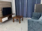 Brand New Apartment for Rent in Mount Lavinia
