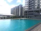 BRAND-NEW APARTMENT FOR SALE IN HOMAGAMA