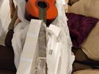 Classical Guitar