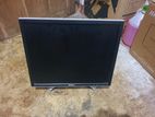 Dell Monitor