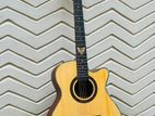 Brand New Crusader Acoustic Guitar