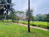 BRAND NEW DIRECT PADDY VIEW FACING 3BR ARIYANA RESORT APARTMENT FOR SALE