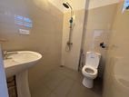 Brand new Entire building For Accomodation in Colombo 6