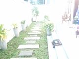 Brand New, Fully complete house for sale in Katuwapitiya,Negombo.Gampaha