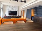 Brand New Fully Furnished Apartment Colombo 7