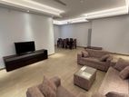Brand New Fully Furnished Apartment For Rent In Colombo 3