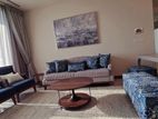 BRAND NEW FULLY FURNISHED PRIME GRAND APARTMENT FOR RENT CLOMBO 7 CH2645