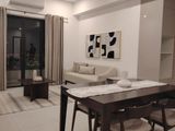 brand new Furnished Apartment for Rent in Colombo 4