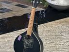 Brand New Givson Electric Mandolin