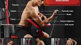 Brand New Home Gym /Weight set -J5