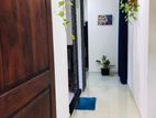 Brand New House For Sale In Horana