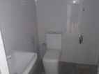 brand new house for sale kirikithta delgoda