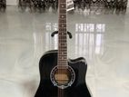 Brand New Kaspar Acoustic Guitar