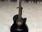 Brand New Kaspar Acoustic Guitar