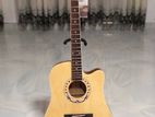 Brand New Kaspar Acoustic Guitar