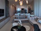 Brand New Luxurious Apartment for Rent – the Grand ,colombo 07