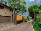Brand New Luxury 4BR House for Sale in Palawatta