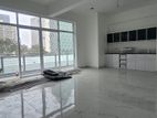 Brand New Luxury Apartment For Rent