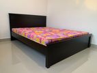 Brand New Malaysian Bed