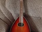 Brand new Mandolin