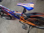 Brand New Mountain Gear Bicycle