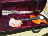 Brand New Phoenix Violin