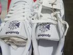 Brand new Reebok sneakers