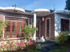 BRAND NEW SINGLE STOREY HOUSE FOR RENT IN PAPILIYANA ROAD