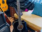 Brand New Tayste Acoustic Guitar