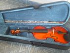 Violin