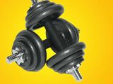 Brand New Weight Plate Dumbbell Set 20Kg 10/20/16/30/40/50