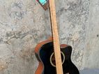 Semi Acoustic Guitar