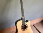 Brandnew Solid Top Acoustic Guitar