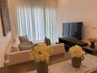 Brandnew Trizen Apartment for Rent - Furnished Colombo 2