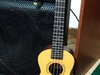 Brand New Ukulele Guitar