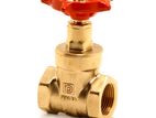 Brass Gate Valve Pegler UK