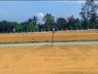 Breaking news.. Land for sale Panadura with best prices