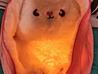 Breathing Plush Bunny