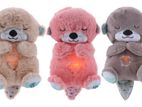 Teddy Bear with Lights