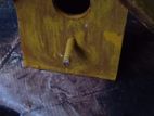 Breeding Box