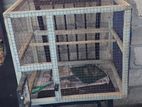 breeding Cage