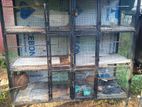 Breeding Cage