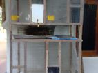 Breeding Cage