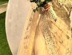 Bridal Saree